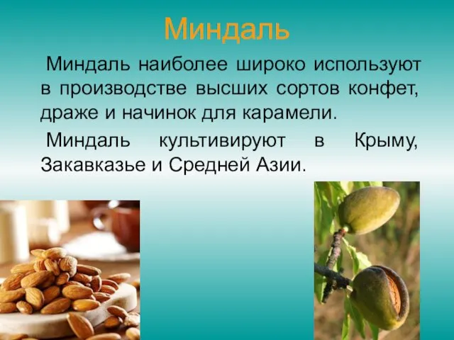 Миндаль Миндаль наиболее широко используют в производстве высших сортов конфет,