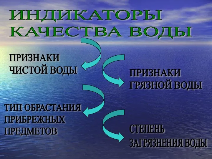 ИНДИКАТОРЫ КАЧЕСТВА ВОДЫ ПРИЗНАКИ ЧИСТОЙ ВОДЫ ПРИЗНАКИ ГРЯЗНОЙ ВОДЫ ТИП ОБРАСТАНИЯ ПРИБРЕЖНЫХ ПРЕДМЕТОВ СТЕПЕНЬ ЗАГРЯЗНЕНИЯ ВОДЫ