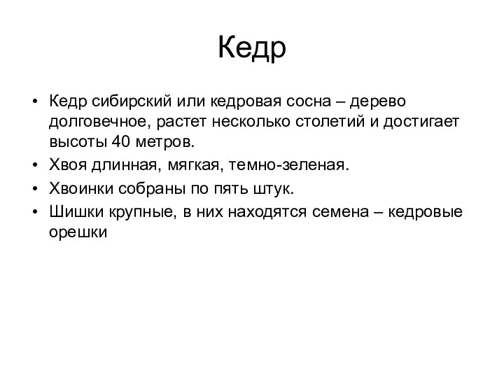 Кедр Кедр сибирский или кедровая сосна – дерево долговечное, растет