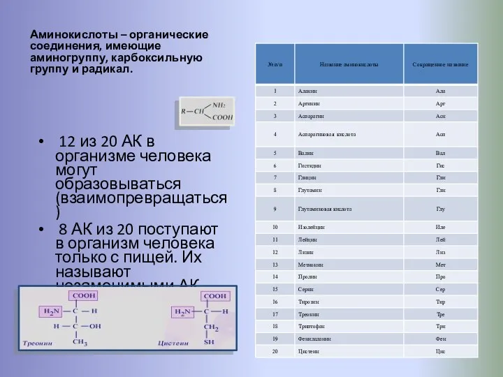 Аминокислоты – органические соединения, имеющие аминогруппу, карбоксильную группу и радикал.