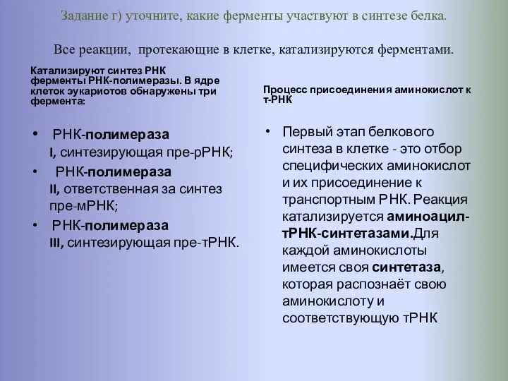 Задание г) уточните, какие ферменты участвуют в синтезе белка. Все