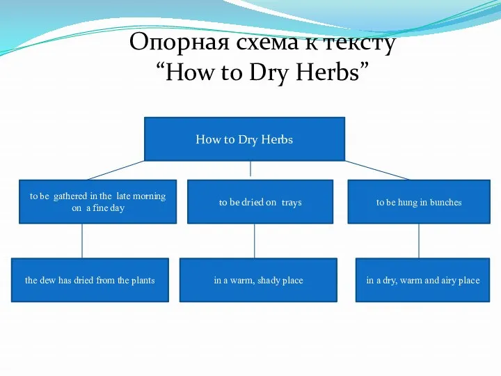 Опорная схема к тексту “How to Dry Herbs” How to