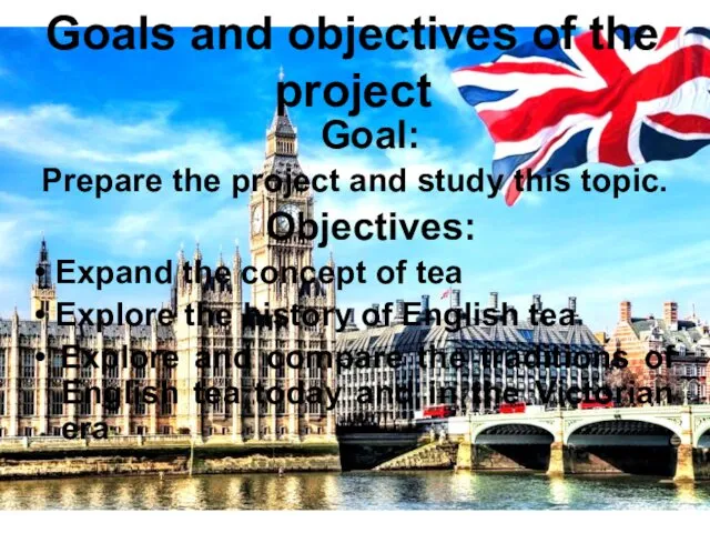 Goals and objectives of the project Goal: Prepare the project and study this