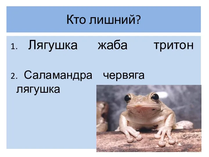 1. Лягушка жаба тритон 2. Саламандра червяга лягушка Кто лишний?