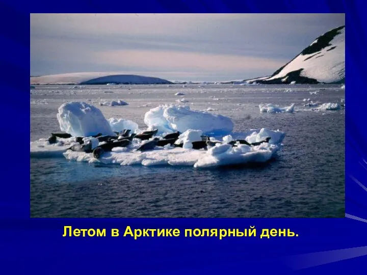 Летом в Арктике полярный день. Летом в Арктике полярный день.
