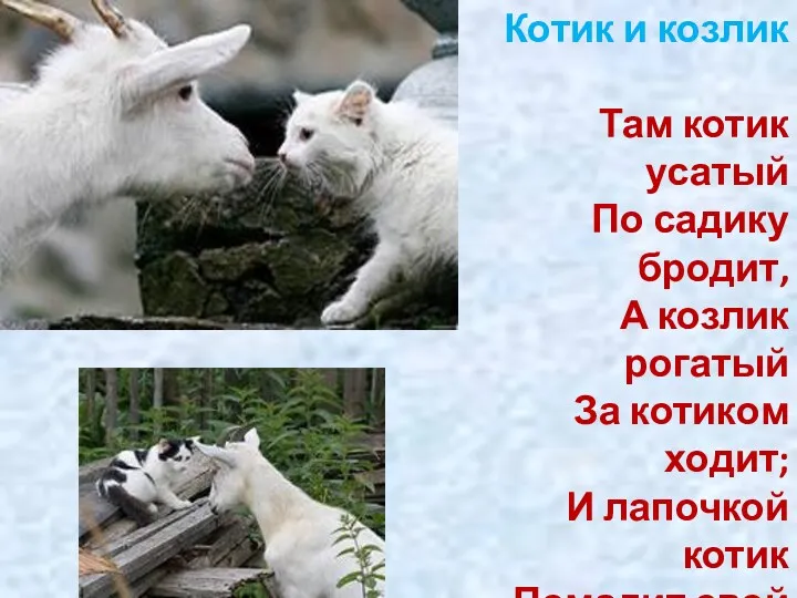 Котик и козлик Там котик усатый По садику бродит, А