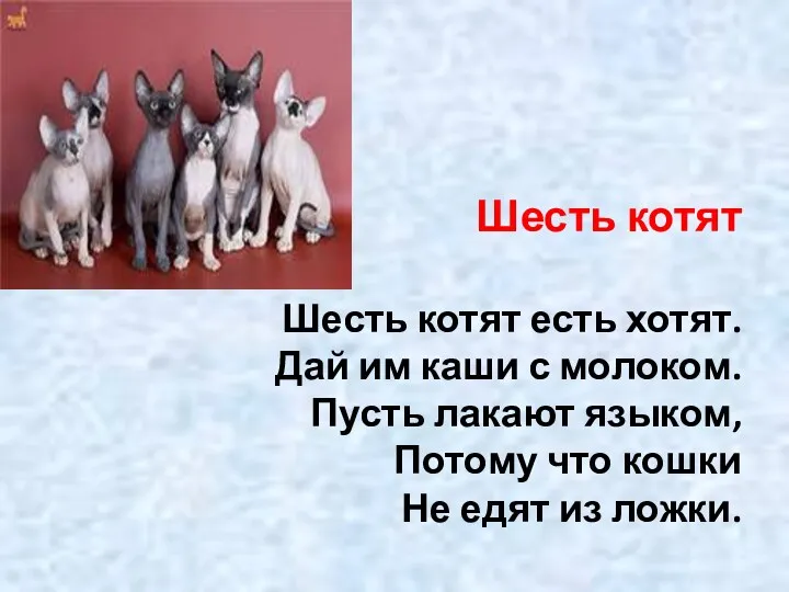 Шесть котят Шесть котят есть хотят. Дай им каши с