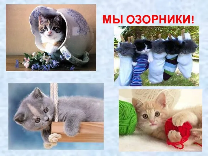 МЫ ОЗОРНИКИ!