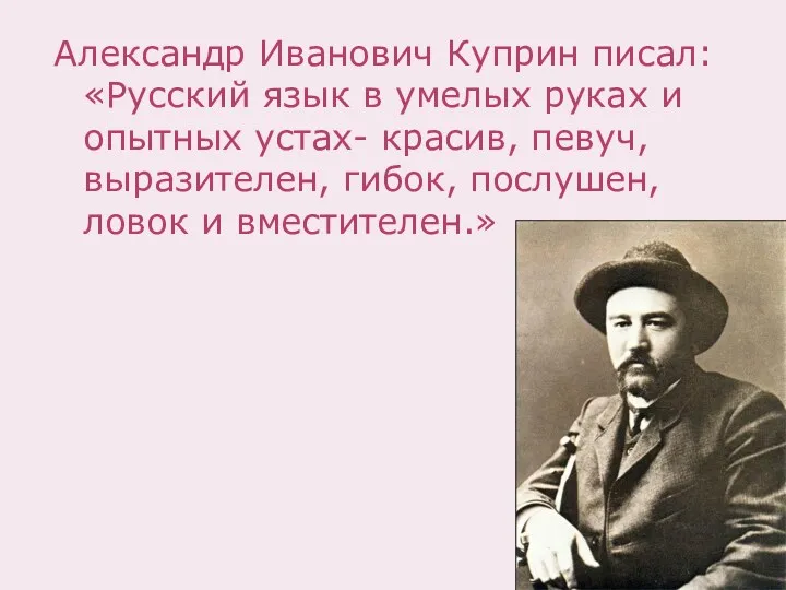 Александр Иванович Куприн писал: «Русский язык в умелых руках и