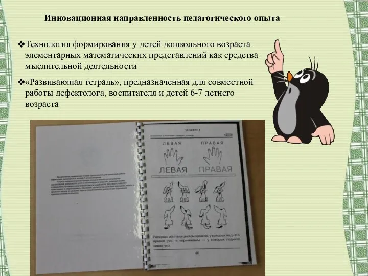 Инновационная направленность педагогического опыта Технология формирования у детей дошкольного возраста