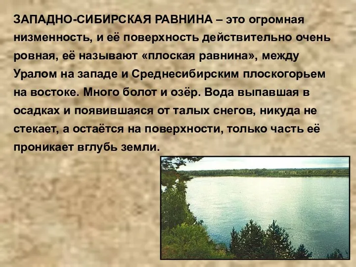 ЗАПАДНО-СИБИРСКАЯ РАВНИНА – это огромная низменность, и её поверхность действительно