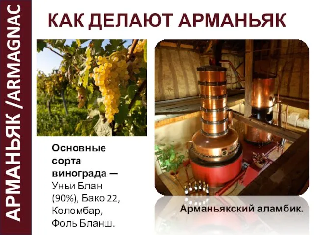 АРМАНЬЯК /ARMAGNAC Основные сорта винограда — Уньи Блан (90%), Бако