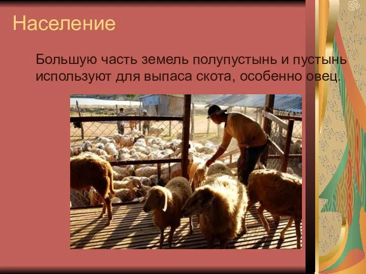 Население Большую часть земель полупустынь и пустынь используют для выпаса скота, особенно овец.