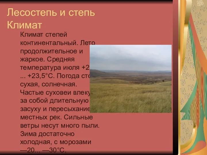 Лесостепь и степь Климат Климат степей континентальный. Лето продолжительное и