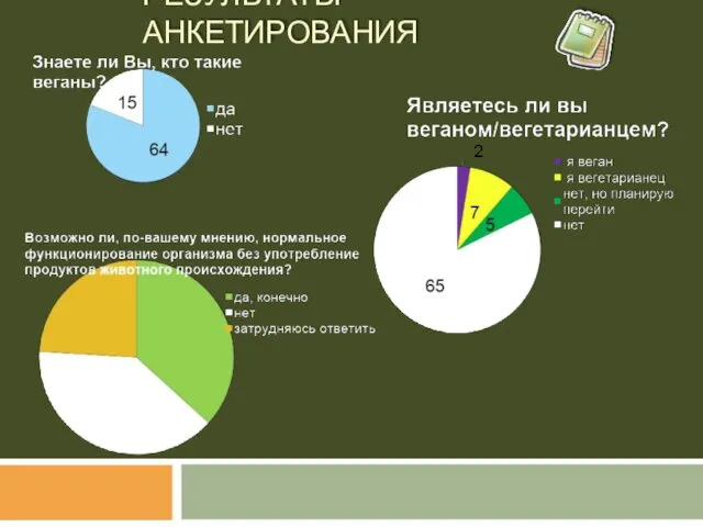 РЕЗУЛЬТАТЫ АНКЕТИРОВАНИЯ