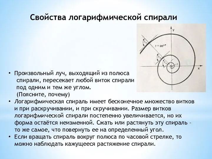 Свойства логарифмической спирали Произвольный луч, выходящий из полюса спирали, пересекает