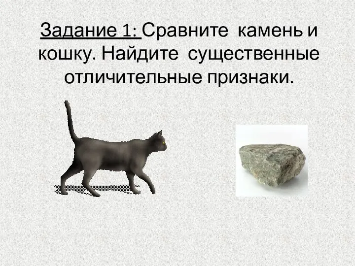 Задание 1: Сравните камень и кошку. Найдите существенные отличительные признаки.