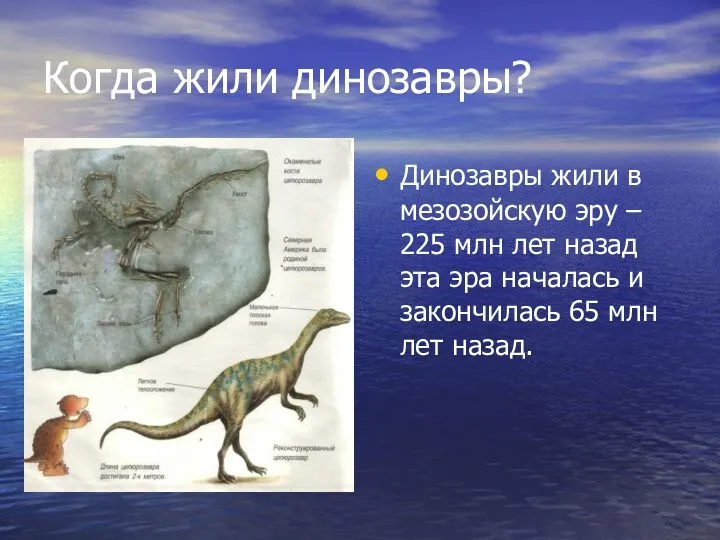 Когда жили динозавры? Динозавры жили в мезозойскую эру – 225