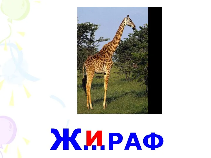 Ж…РАФ и