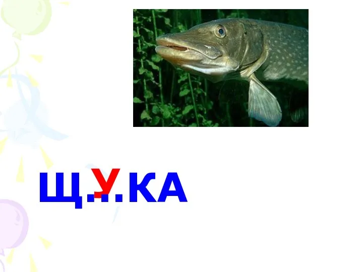 У Щ…КА