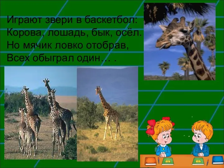 Играют звери в баскетбол: Корова, лошадь, бык, осёл. Но мячик ловко отобрав, Всех обыграл один… .