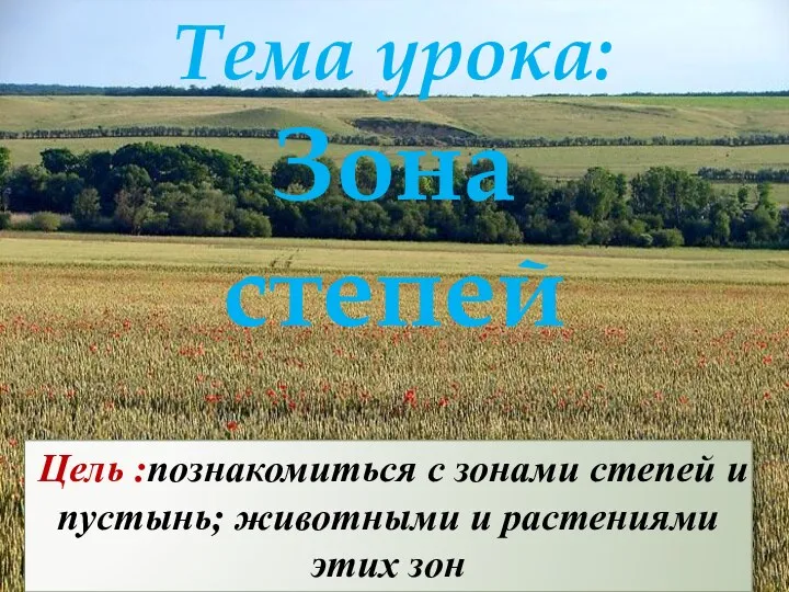 Тема урока: Зона степей Цель :познакомиться с зонами степей и пустынь; животными и растениями этих зон