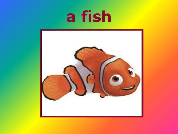 a fish