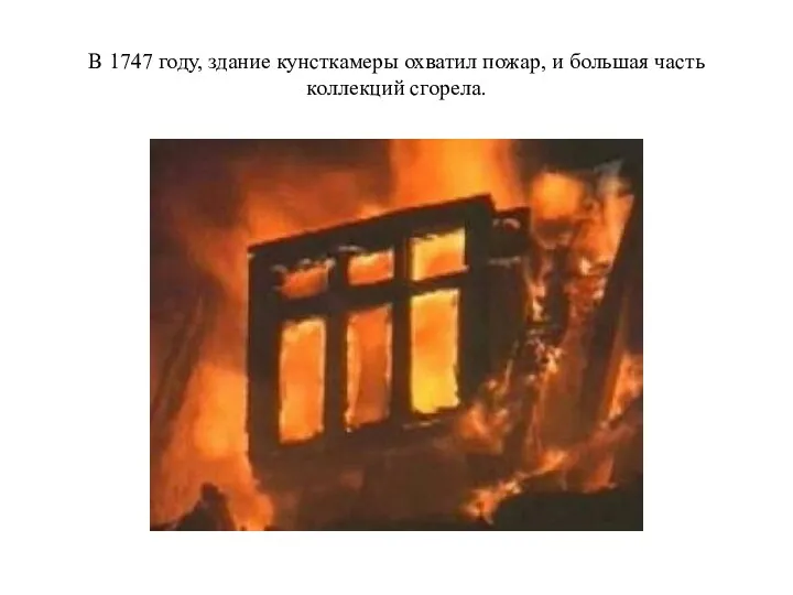 В 1747 году, здание кунсткамеры охватил пожар, и большая часть коллекций сгорела.