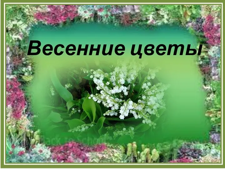 Весенние цветы