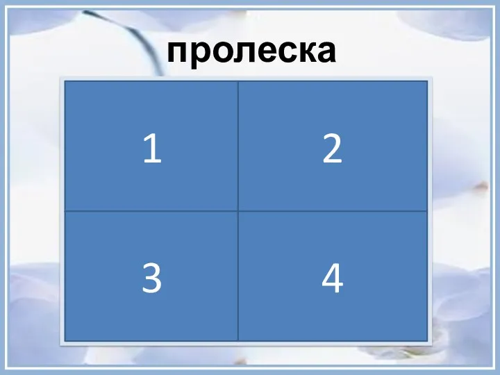 пролеска 1 2 3 4