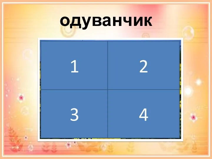 одуванчик 1 2 3 4