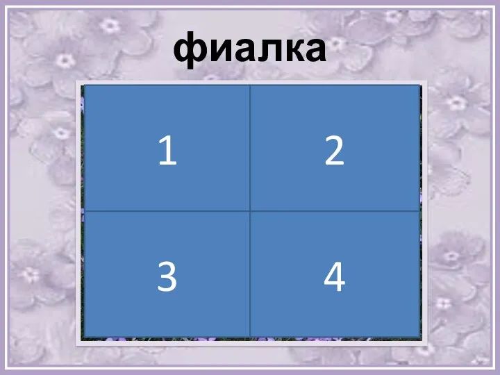 фиалка 1 2 3 4