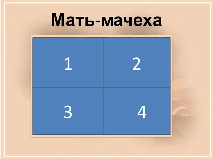 Мать-мачеха 1 2 3 4