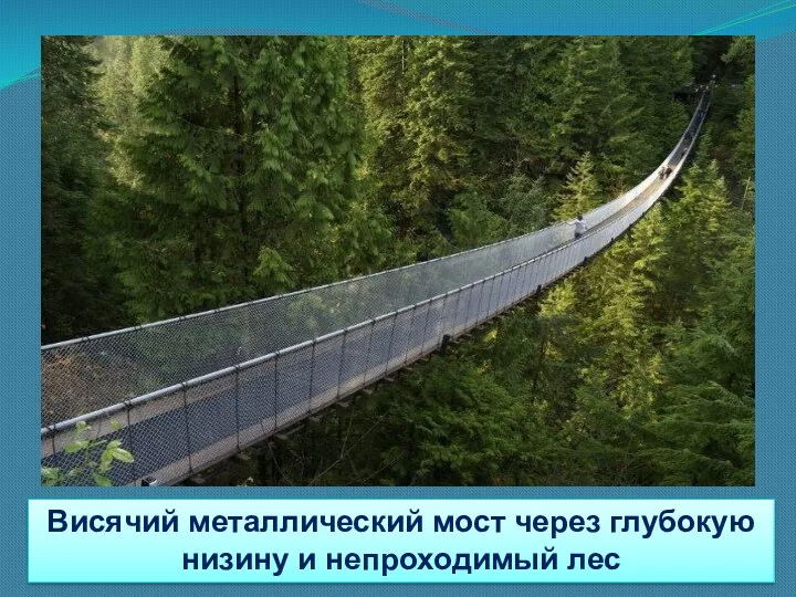 Висячий металлический мост через глубокую низину и непроходимый лес