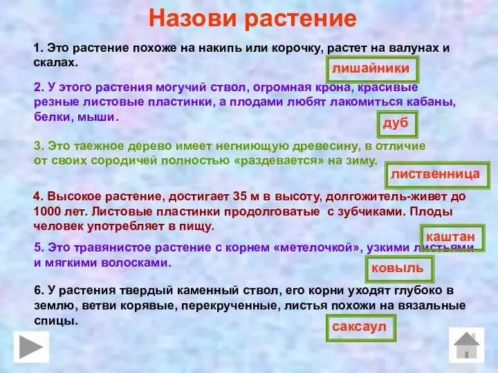 Назови растение 1. Это растение похоже на накипь или корочку, растет на валунах