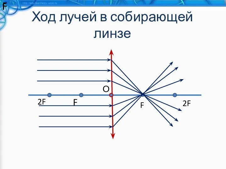 Ход лучей в собирающей линзе F F F F F F F F 2F 2F О