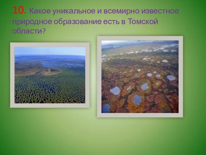 10. Какое уникальное и всемирно известное природное образование есть в Томской области?