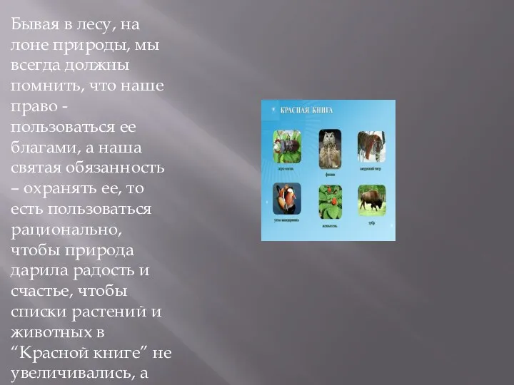 Бывая в лесу, на лоне природы, мы всегда должны помнить,