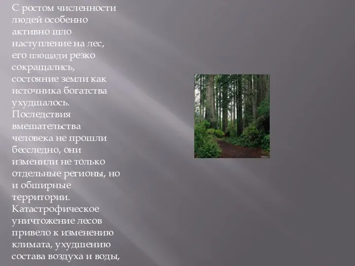 С ростом численности людей особенно активно шло наступление на лес,