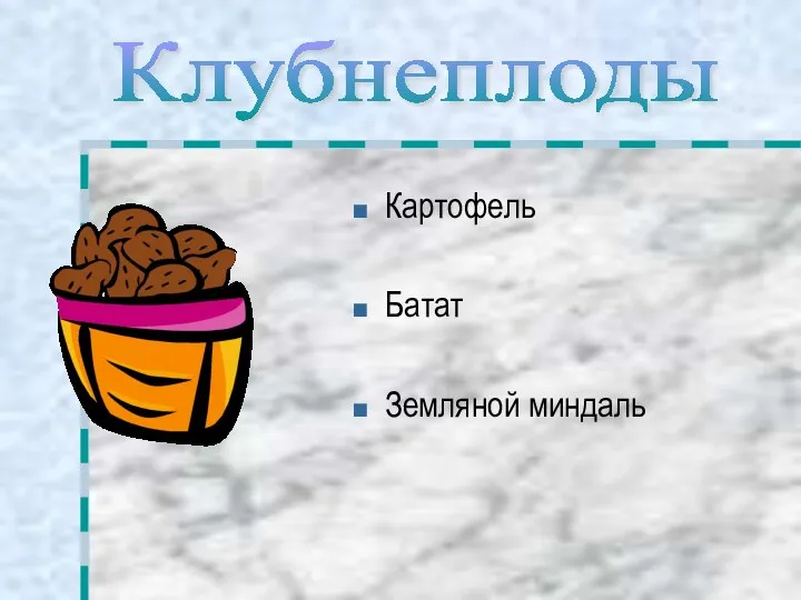 Картофель Батат Земляной миндаль Клубнеплоды