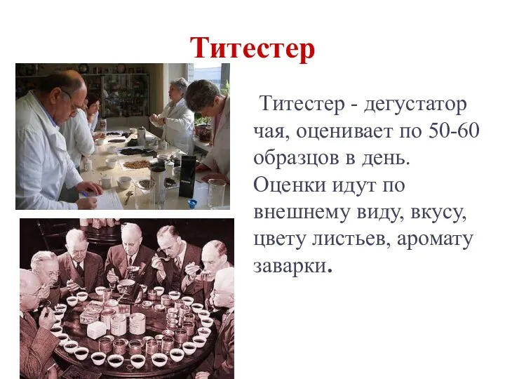 Титестер Титестер - дегустатор чая, оценивает по 50-60 образцов в