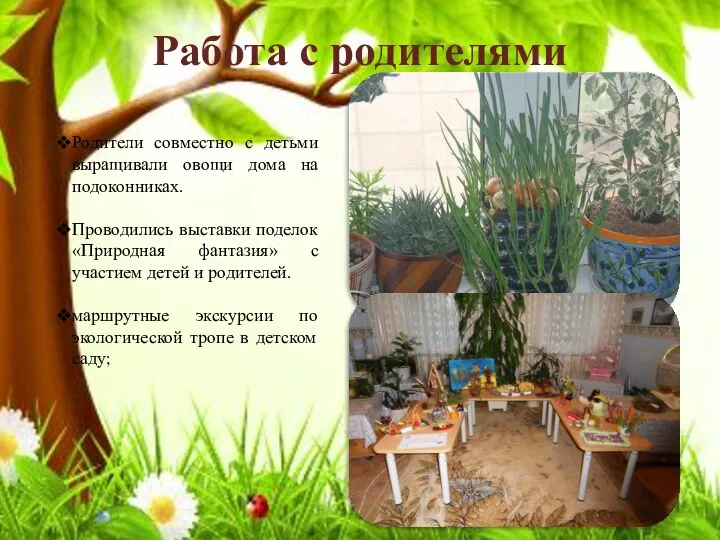 Работа с родителями Родители совместно с детьми выращивали овощи дома