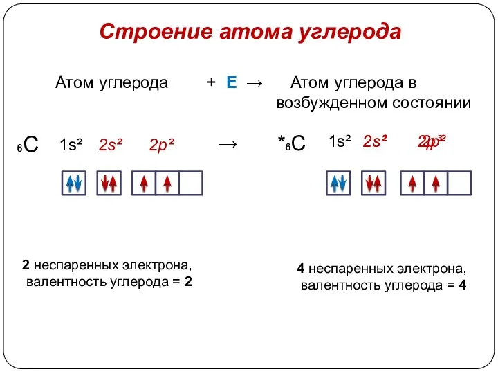 Строение атома углерода Атом углерода + Е → Атом углерода в возбужденном состоянии