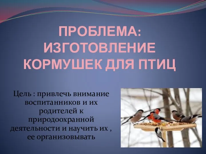 ПРОБЛЕМА: ИЗГОТОВЛЕНИЕ КОРМУШЕК ДЛЯ ПТИЦ Цель : привлечь внимание воспитанников