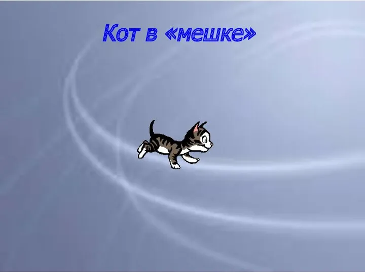 Кот в «мешке»