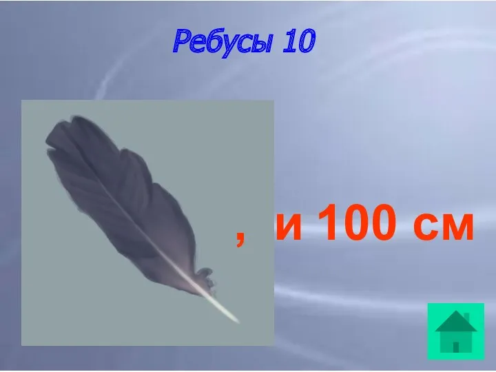 Ребусы 10 , и 100 см