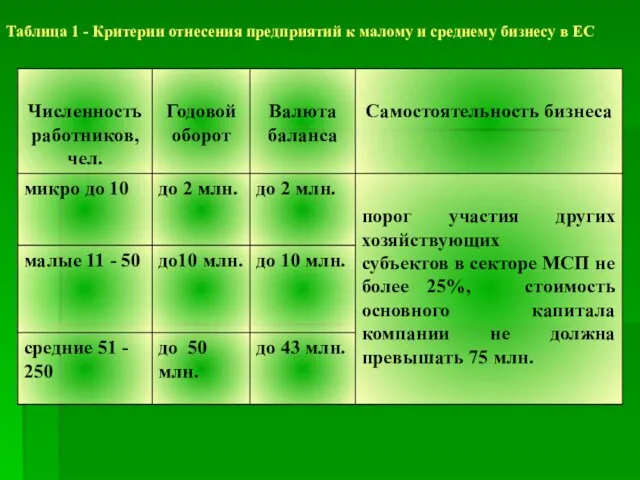 Таблица 1 - Критерии отнесения предприятий к малому и среднему бизнесу в ЕС