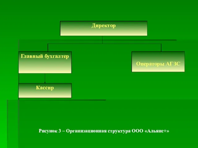 Рисунок 3 – Организационная структура ООО «Альянс+»