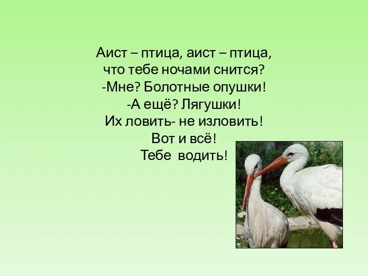 Аист – птица, аист – птица, что тебе ночами снится? -Мне? Болотные опушки!