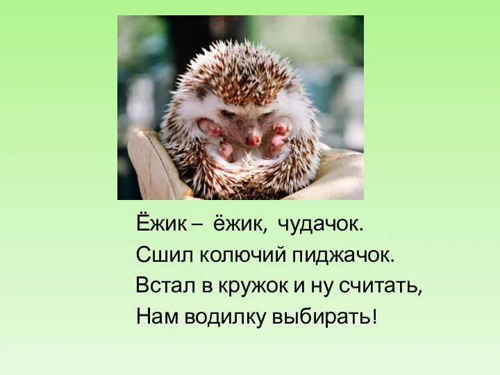 Ёжик – ёжик, чудачок. Сшил колючий пиджачок. Встал в кружок и ну считать, Нам водилку выбирать!